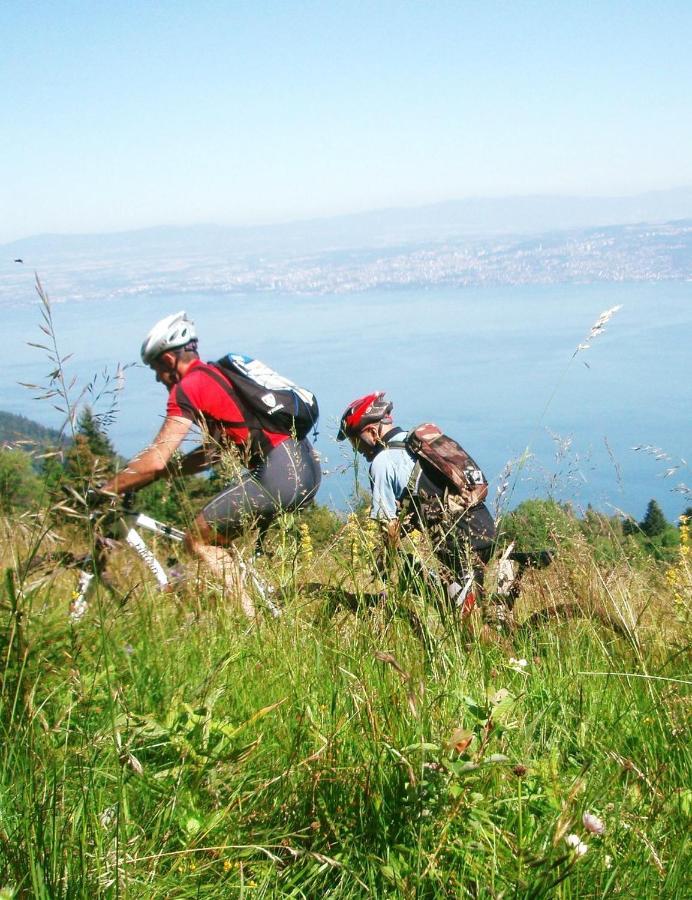 Votre Studio Balneo Bien-Etre A La Montagne Thollon-les-Memises Εξωτερικό φωτογραφία