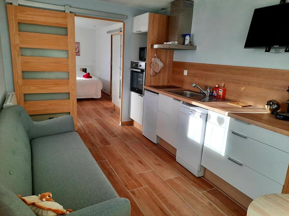 Votre Studio Balneo Bien-Etre A La Montagne Thollon-les-Memises Εξωτερικό φωτογραφία