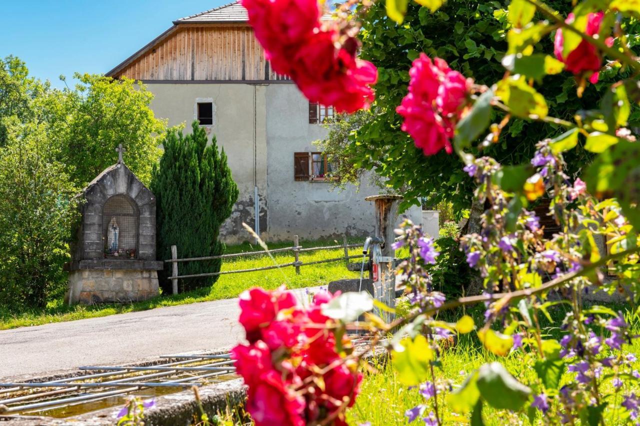 Votre Studio Balneo Bien-Etre A La Montagne Thollon-les-Memises Εξωτερικό φωτογραφία