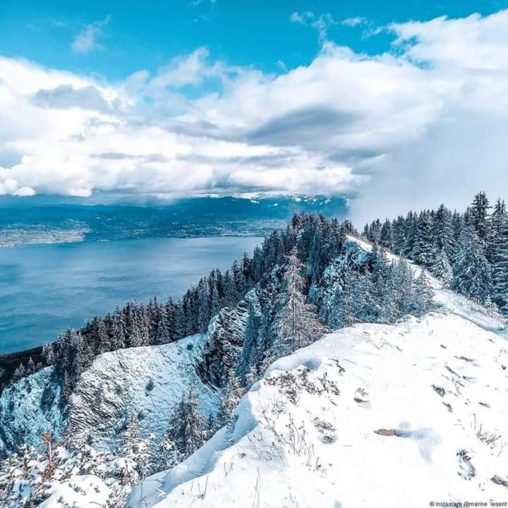 Votre Studio Balneo Bien-Etre A La Montagne Thollon-les-Memises Εξωτερικό φωτογραφία